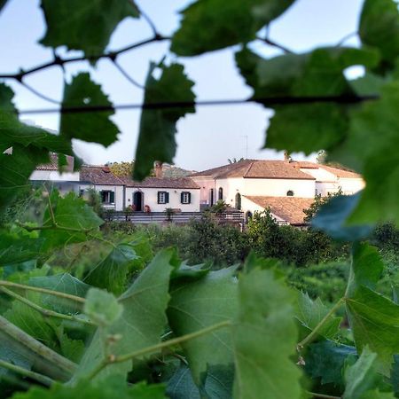 Casa Vacanze Etna П'єдімонте-Етнео Екстер'єр фото