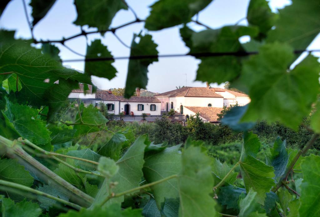 Casa Vacanze Etna П'єдімонте-Етнео Екстер'єр фото