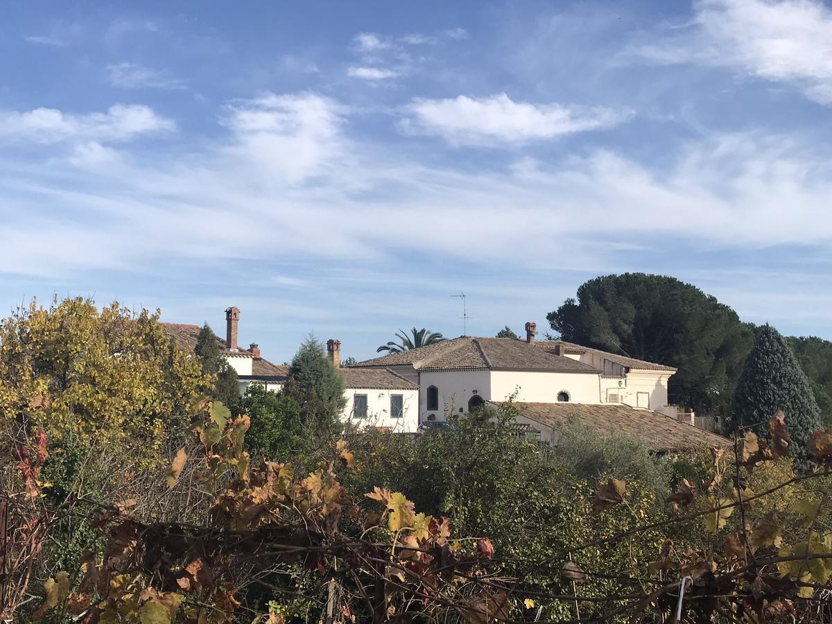Casa Vacanze Etna П'єдімонте-Етнео Екстер'єр фото